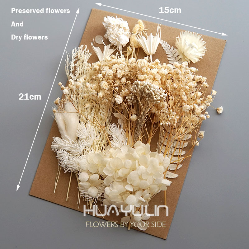 1 Pack Artificial Plants Dried - Dried Flower Bulk review and price